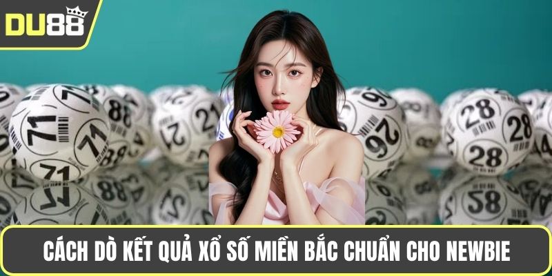 Cách dò kết quả xổ số miền Bắc chuẩn cho newbie