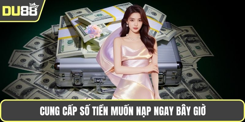 Cung cấp số tiền muốn nạp ngay bây giờ